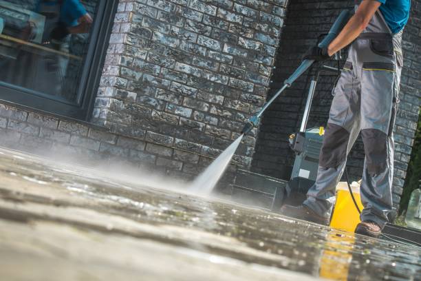 Best Spring Cleaning  in Shokan, NY