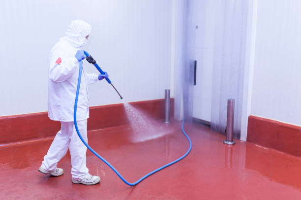 Best Dumpster Area Cleaning  in Shokan, NY