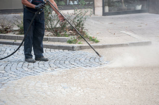 Best Sidewalk and Walkway Cleaning  in Shokan, NY